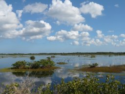 Florida_2007-2008-046